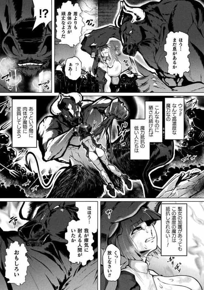 聖女は淫肉の盾となりて【単話】